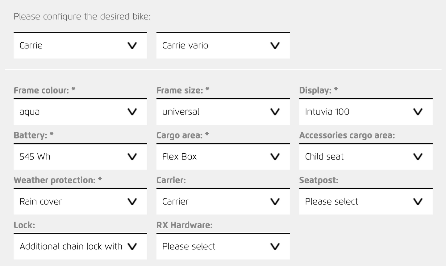 Riese & Muller Carrie City Anise