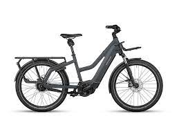 Riese & Muller Multicharger2 Mixte GT family grey WRJ2MC4M4PD203337