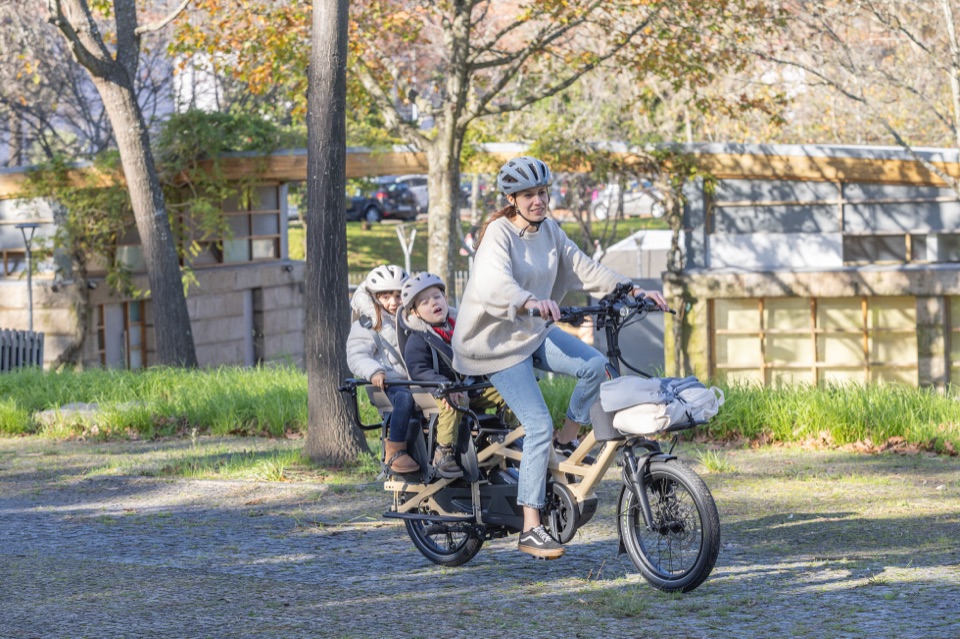 Tern GSD — in use 2