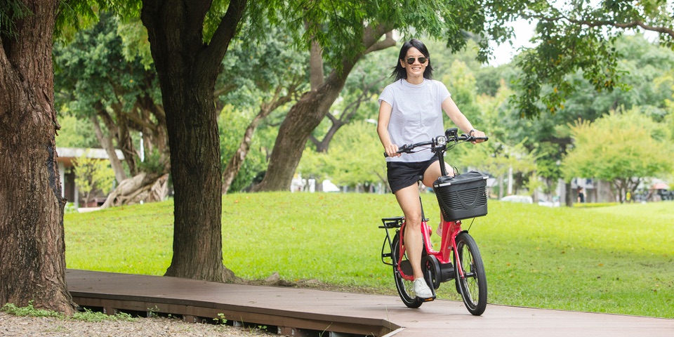 Tern NBD — in use