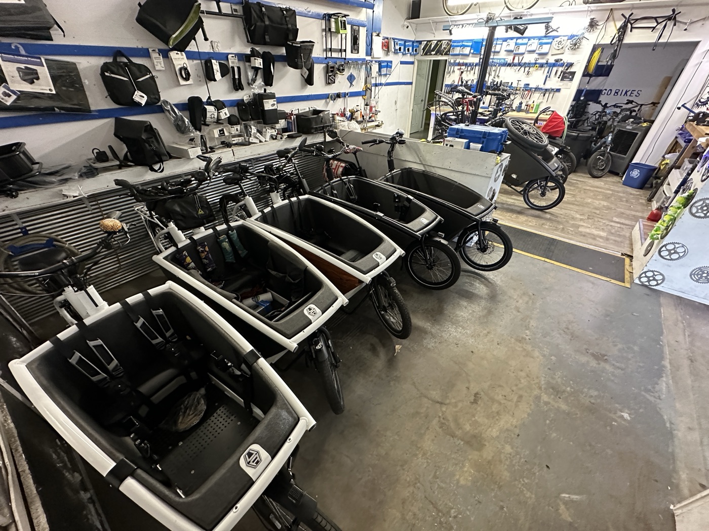 Cargo bikes lined up inside the Front Range Cargo Bikes shop
